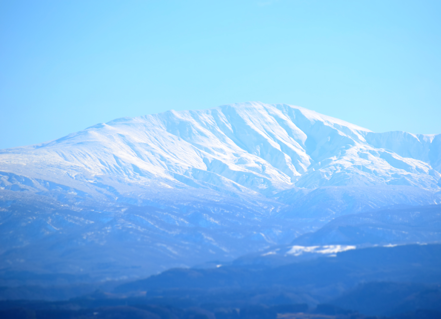 月山ワイン山ぶどう研究所